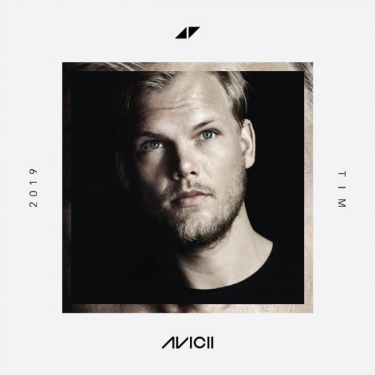 Avicii – Bad Reputation (Instrumental)